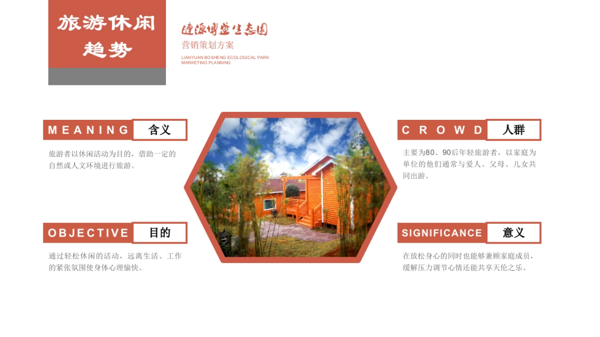 湖南涟源博盛生态园年度营销方案（一季度）_第5页