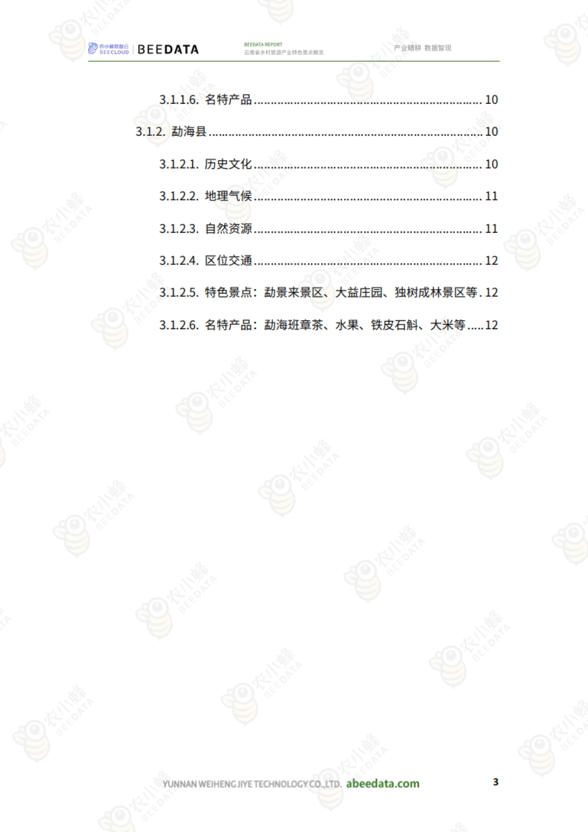 云南省乡村旅游产业特色景点概览_第5页