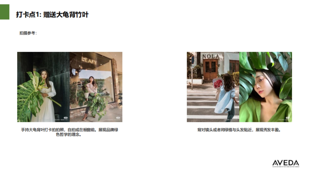 艾焚达Aveda与 山海四合跨界合作主题展BRIEF BOOK_第10页