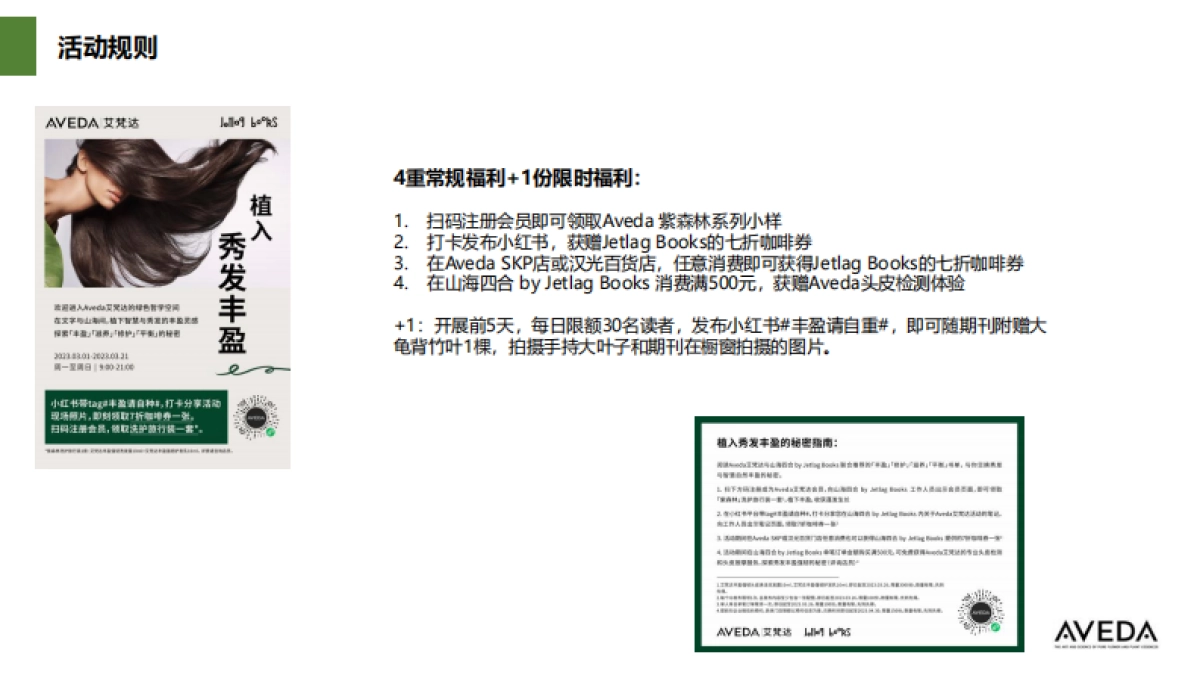 艾焚达Aveda与 山海四合跨界合作主题展BRIEF BOOK_第8页