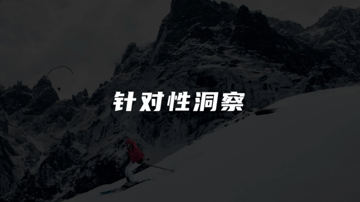 凯乐石MONT X小红书营销方案_第8页