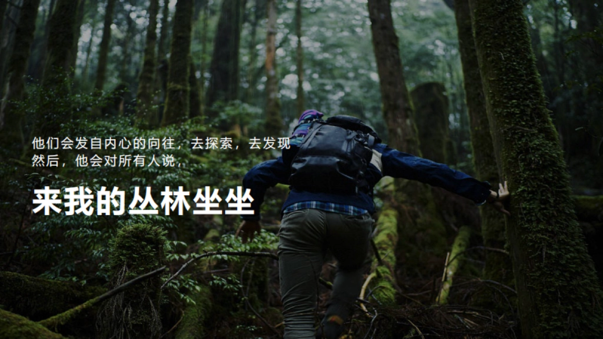 森林文旅景区全年营销规划案_第4页