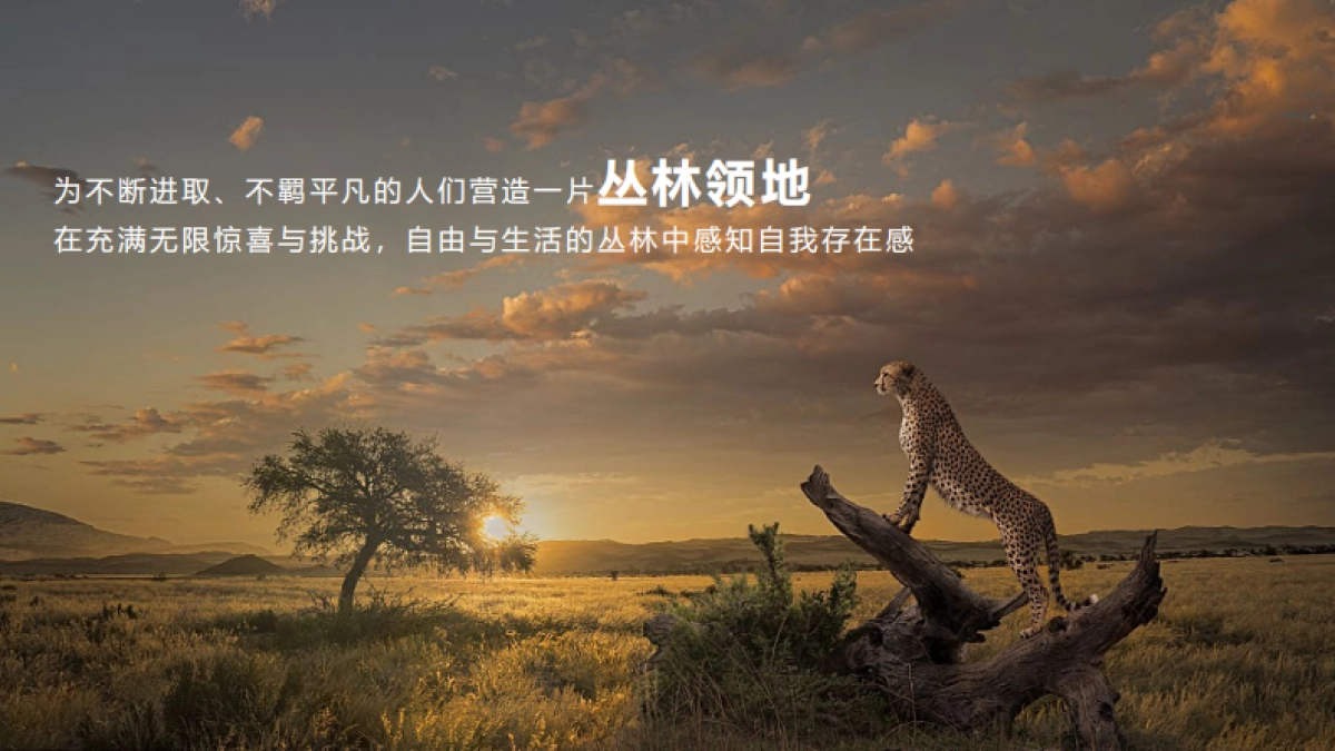 森林文旅景区全年营销规划案_第5页