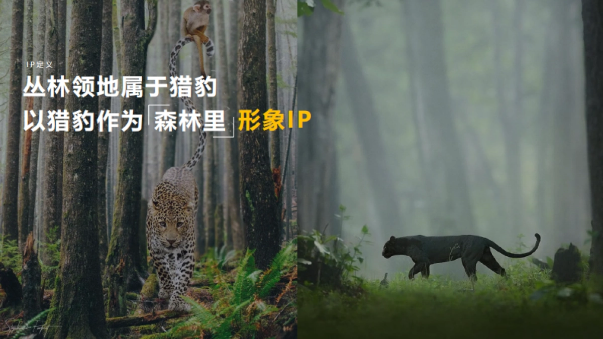 森林文旅景区全年营销规划案_第6页