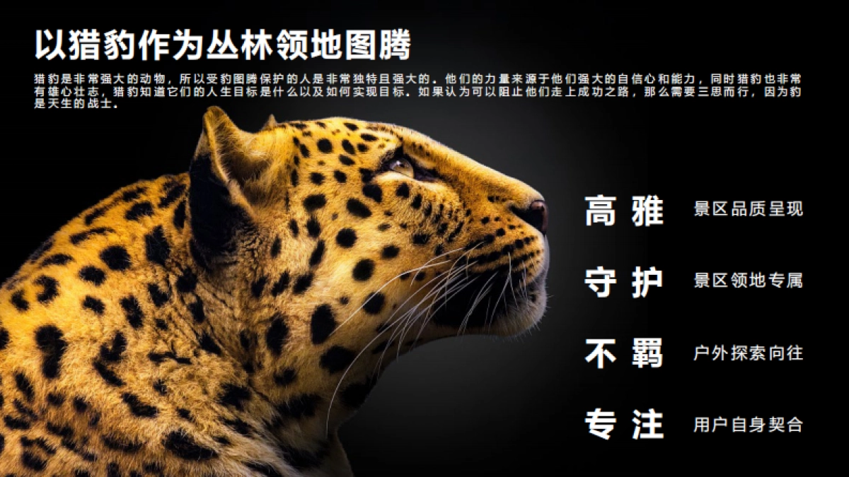 森林文旅景区全年营销规划案_第7页