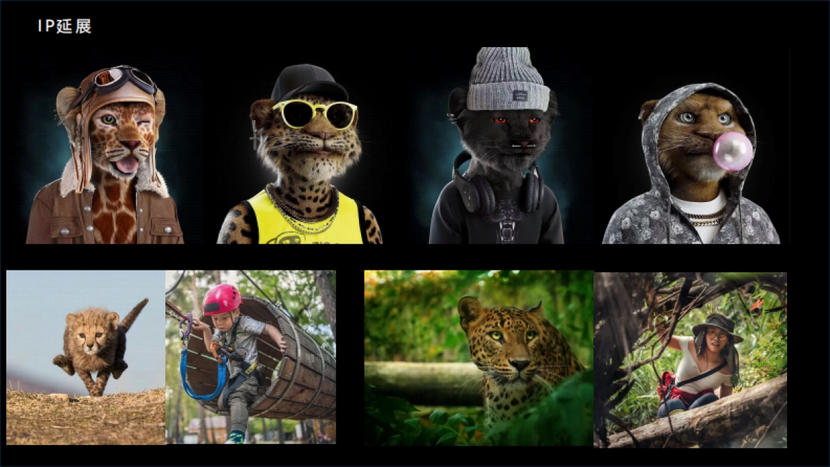 森林文旅景区全年营销规划案_第8页