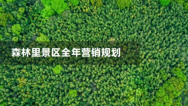 森林文旅景区全年营销规划案