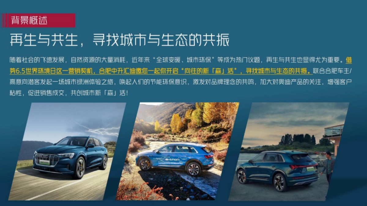 2025奥迪车主探索城市绿洲体验之旅活动策划方案_第4页