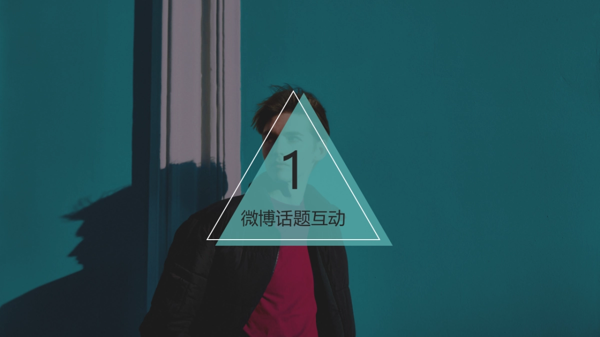 男装品牌策划方案_第5页