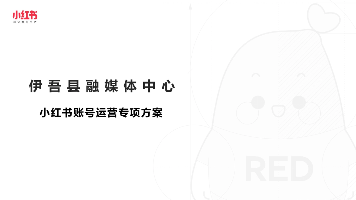 小红书账号运营专项方案_第1页