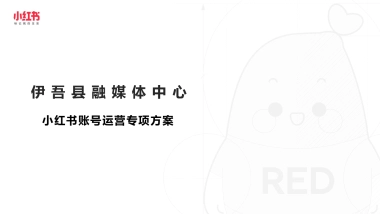 小红书账号运营专项方案