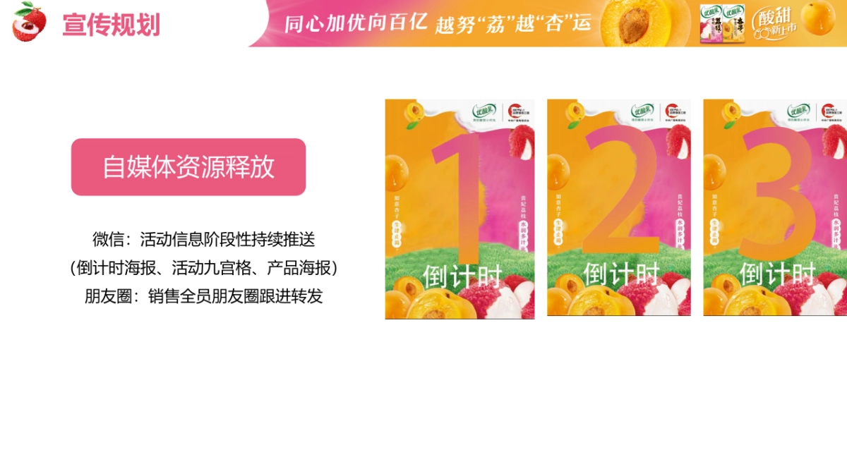 伊利优酸乳优酸乳微型迷你秀活动方案_第10页