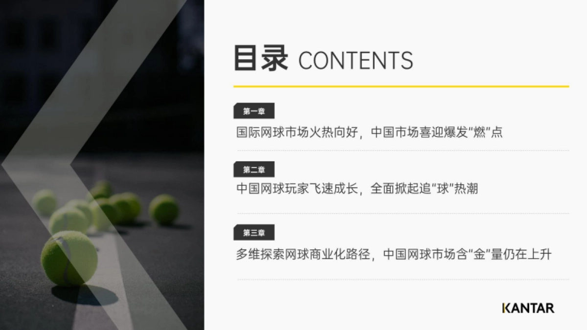 2024从“小众运动”到“全民热潮”解码网球人群与市场机遇_第2页