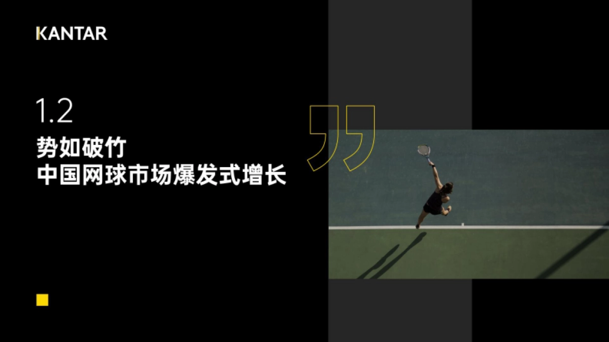 2024从“小众运动”到“全民热潮”解码网球人群与市场机遇_第9页