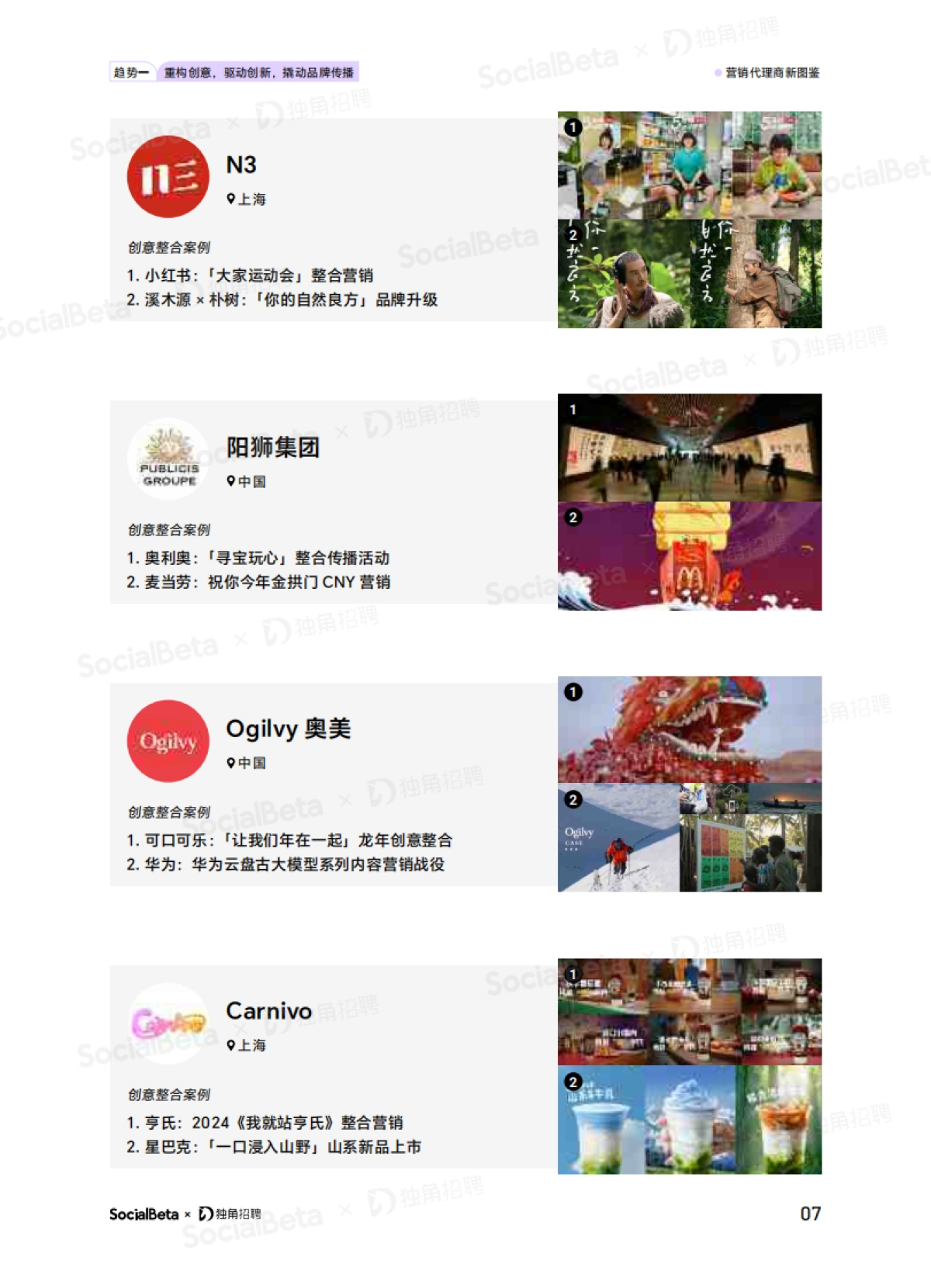 2024年营销代理商新图鉴_第10页