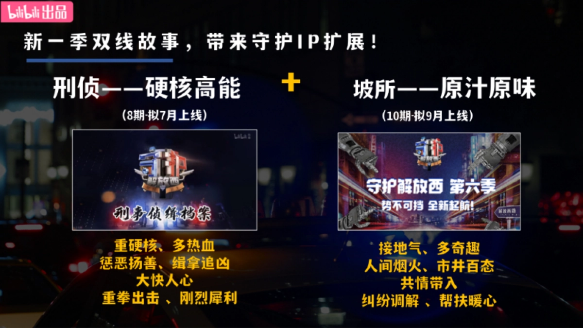 2025bilibili 《守护解放西6》招商案-2月版_第5页