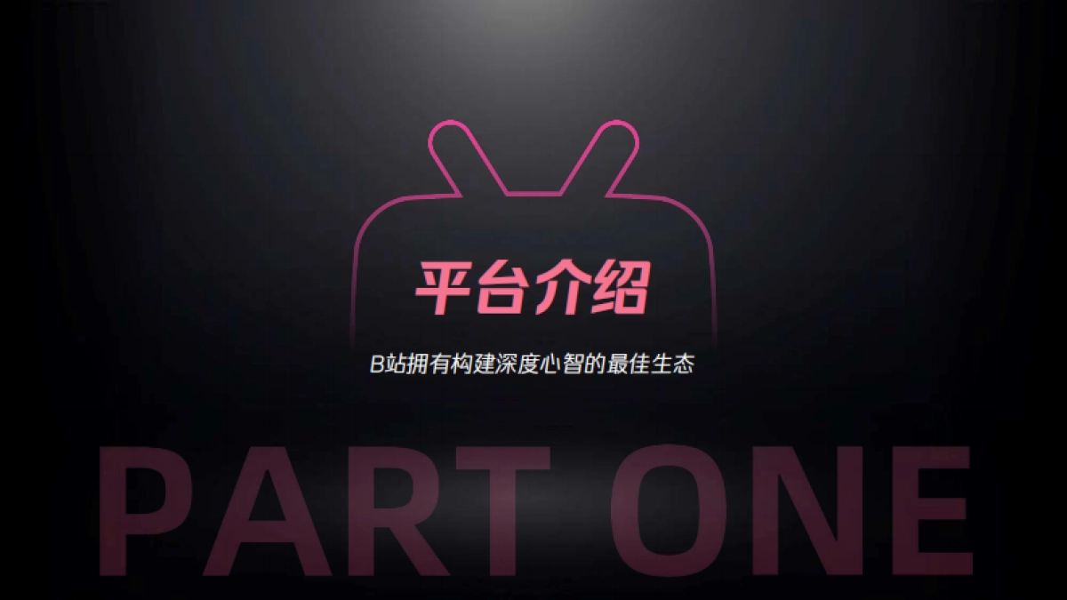 2025年bilibili营销通案_第2页