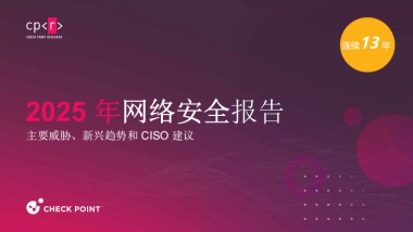 2025年网络安全报告