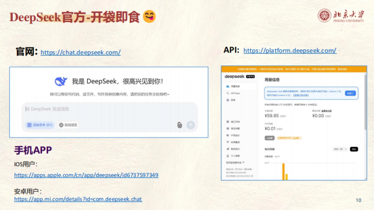 北大-DeepSeek系列-提示词工程和落地场景_第10页
