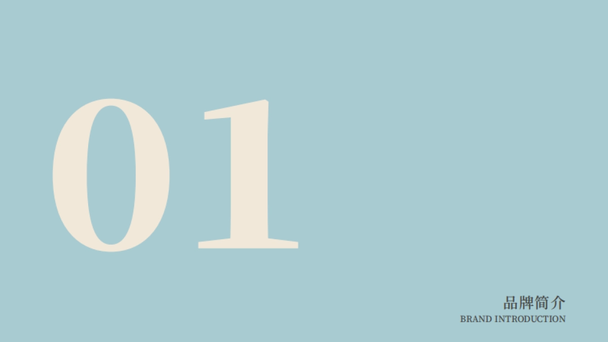 兰研品牌手册_第2页