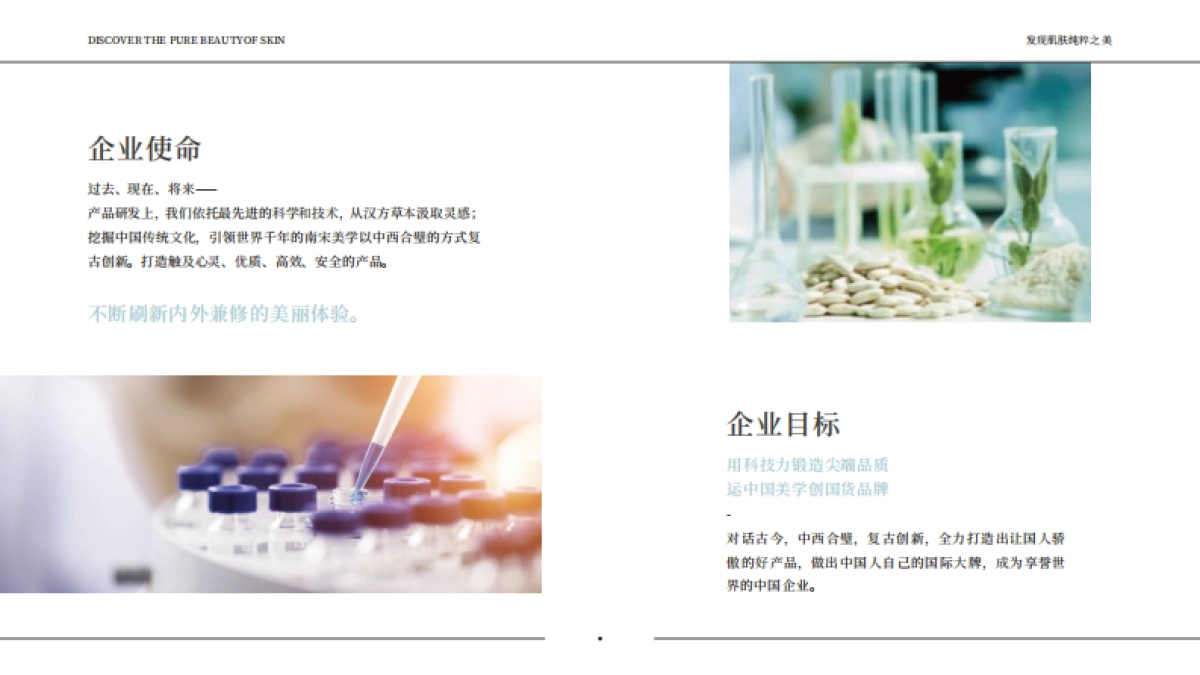 兰研品牌手册_第4页