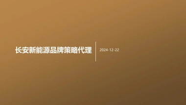 2025年长安新能源品牌策略代理提案