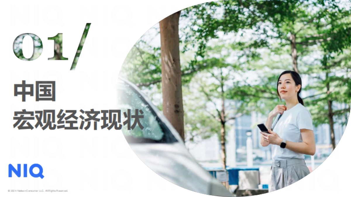 中国消费者洞察及春节快消品机会_第2页