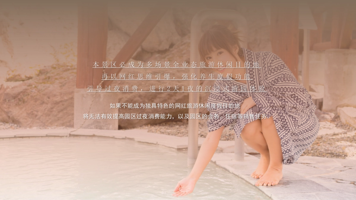 温泉旅游度假区营销推广提报方案_第5页