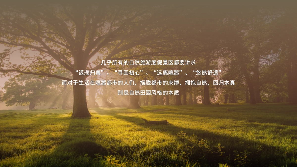 温泉旅游度假区营销推广提报方案_第6页