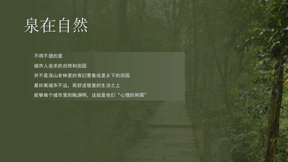 温泉旅游度假区营销推广提报方案_第9页