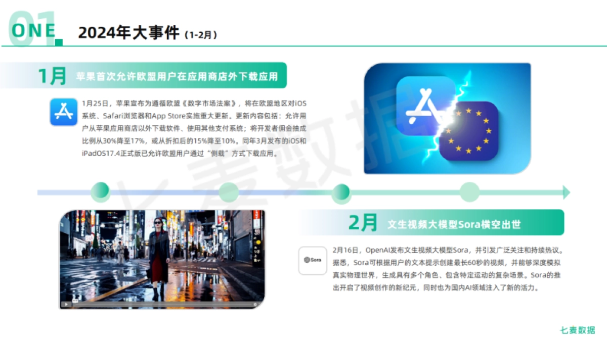 2024年移动互联网行业白皮书_第9页