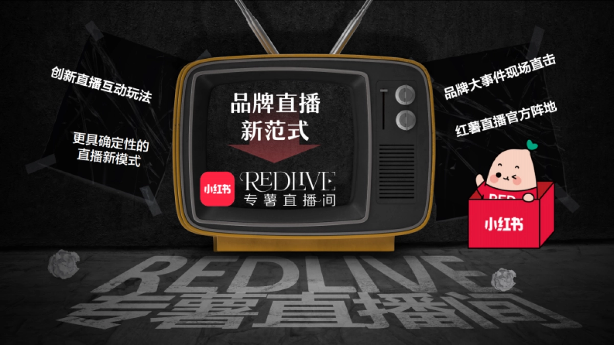 小红书合集-2025REDlive专薯直播间招商_第5页