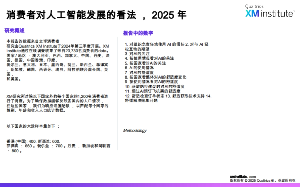 消费者对人工智能发展的看法，2025年全球研究报告_第3页