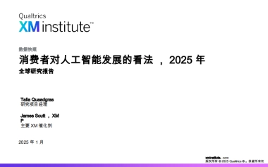 消费者对人工智能发展的看法，2025年全球研究报告