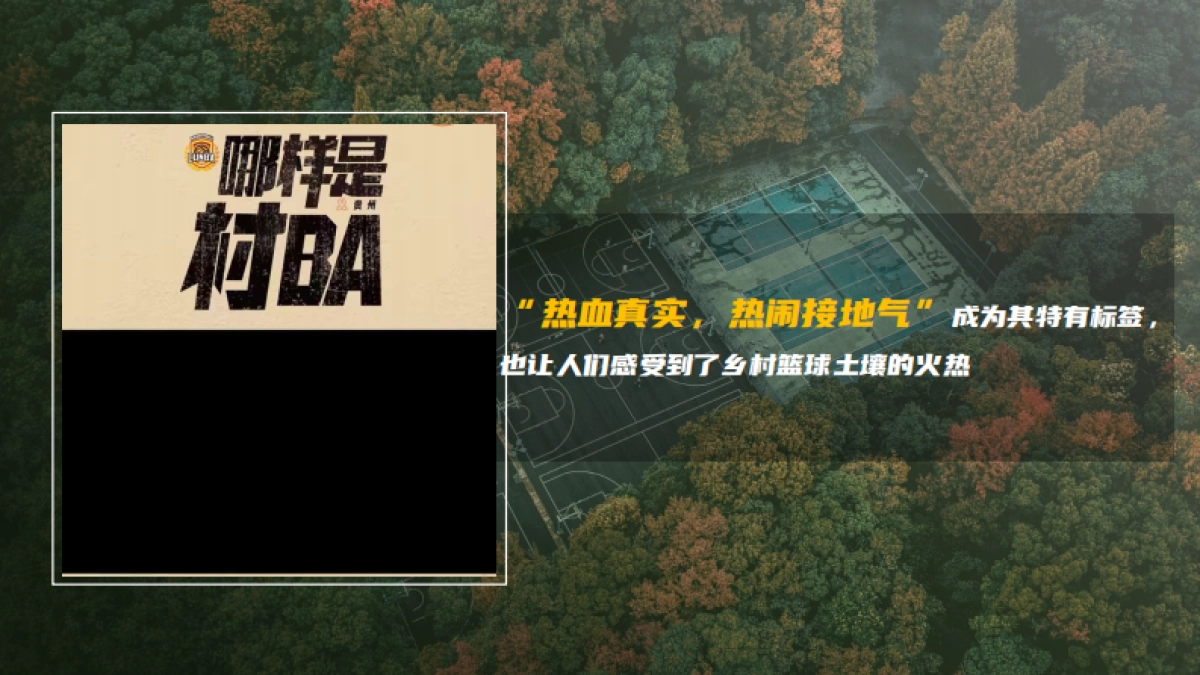 快手村BA-乡村篮球冠军赛招商方案_第3页