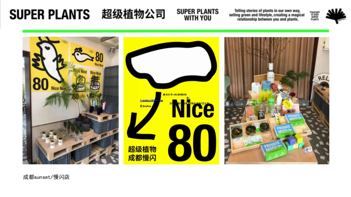 超级植物公司品牌手册_第10页