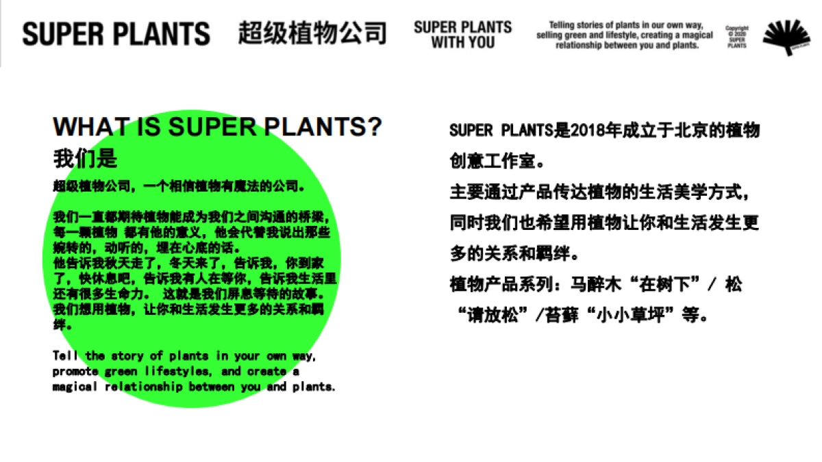 超级植物公司品牌手册_第2页