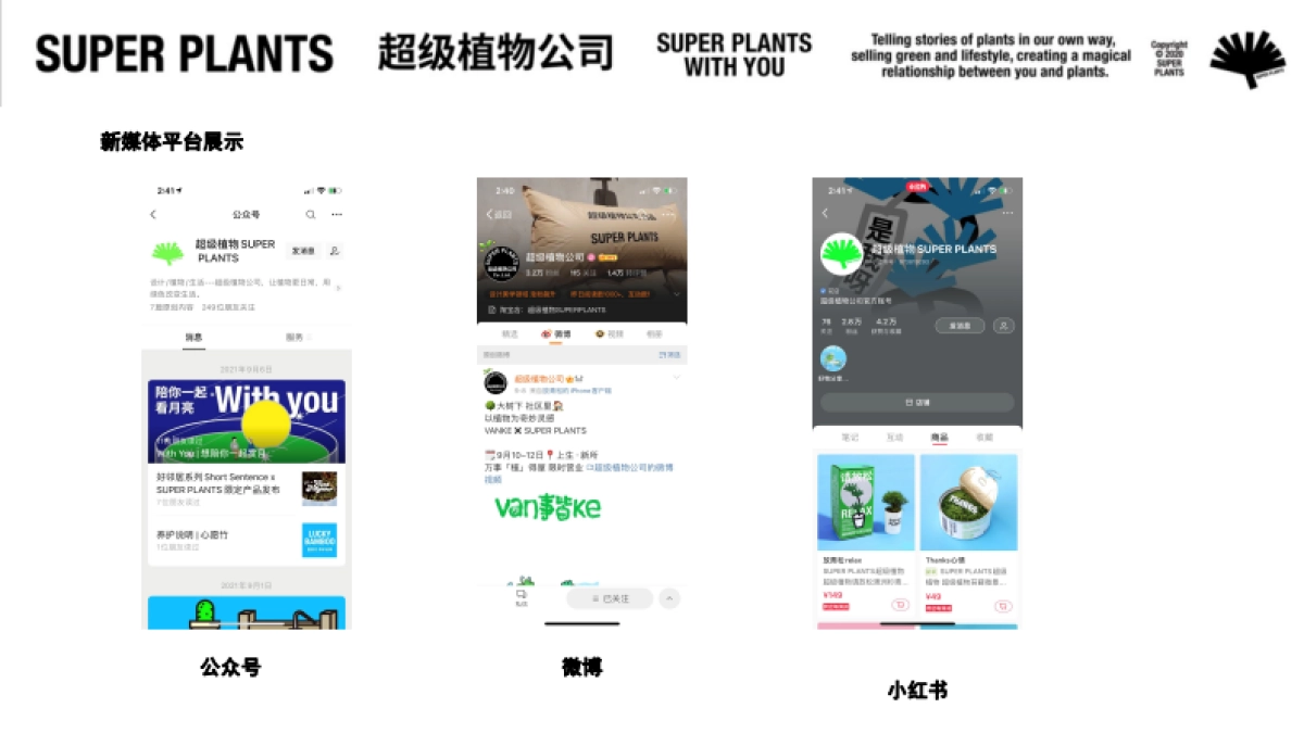 超级植物公司品牌手册_第4页