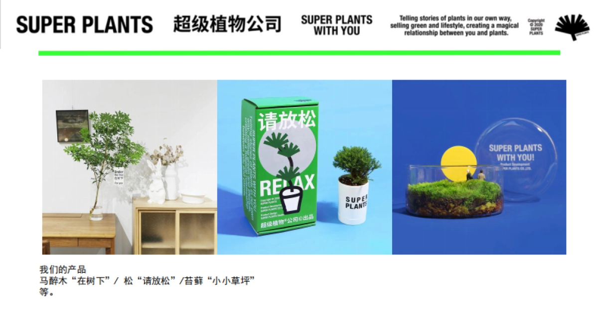 超级植物公司品牌手册_第6页