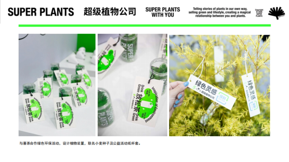 超级植物公司品牌手册_第9页