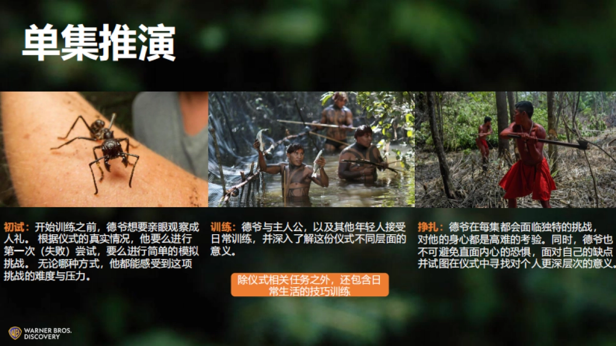 哔哩哔哩纪录片《德爷的登阶奇旅》招商通案_第10页