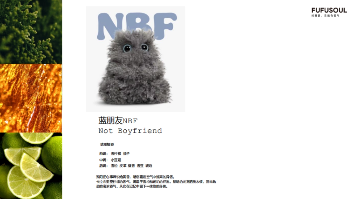 FUFUSOUL馥馥品牌手册_第10页