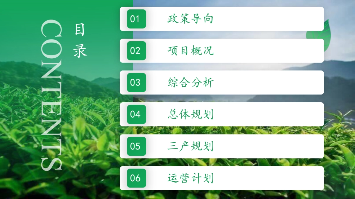 2023-2028年茶业品牌运营计划书整合营销策略方案_第3页