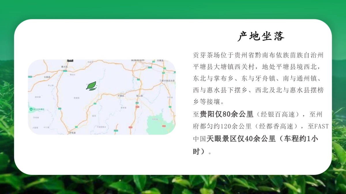 2023-2028年茶业品牌运营计划书整合营销策略方案_第8页