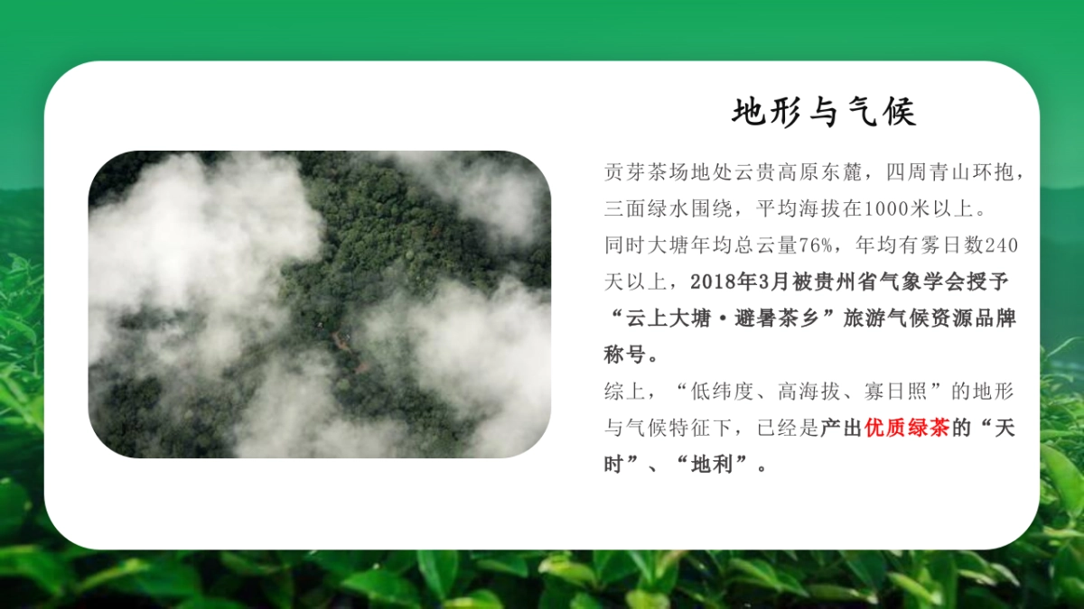 2023-2028年茶业品牌运营计划书整合营销策略方案_第9页