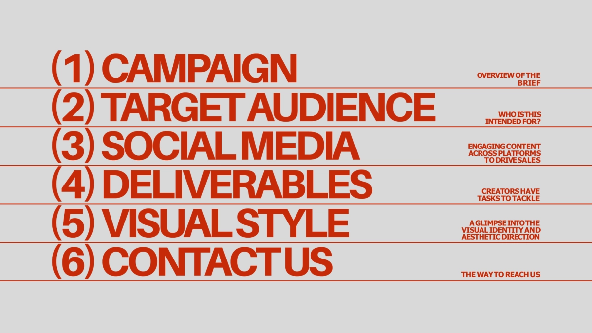 PPT模板（红色）_第2页