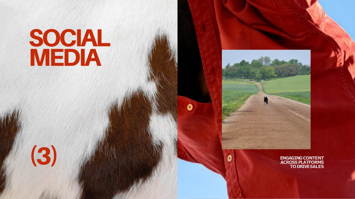 PPT模板（红色）_第6页