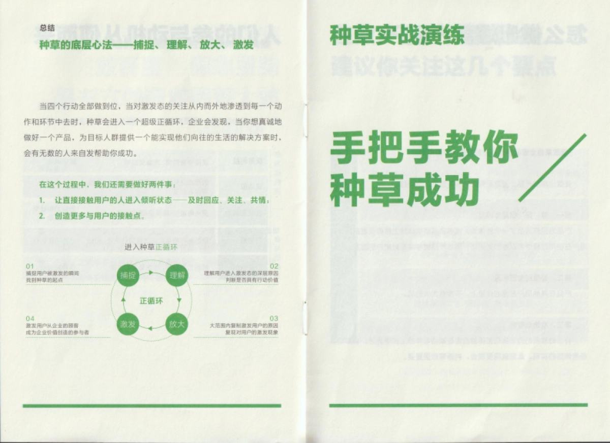 种草秘籍(小绿本)_第8页