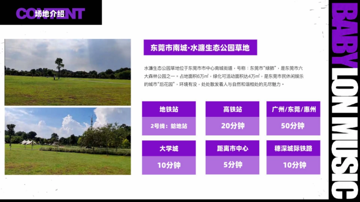 巴比伦音乐节品牌营销招商方案_第9页