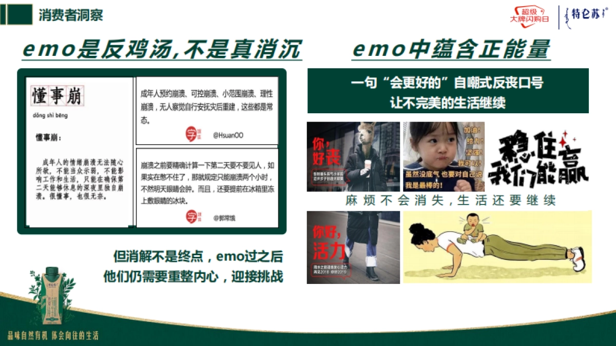 特仑苏大牌风暴_第5页